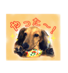 大好きなペットたち❤️2（個別スタンプ：2）