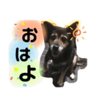 大好きなペットたち❤️2（個別スタンプ：8）