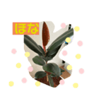 ゴムの木（個別スタンプ：1）