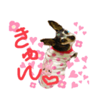 ブルぴんの日常（個別スタンプ：5）