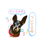ブルぴんの日常（個別スタンプ：10）
