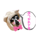 ブルぴんの日常（個別スタンプ：14）