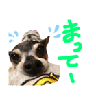 ブルぴんの日常（個別スタンプ：17）