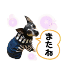 ブルぴんの日常（個別スタンプ：21）