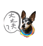 ブルぴんの日常（個別スタンプ：24）