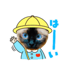 使いやすい 猫（個別スタンプ：6）