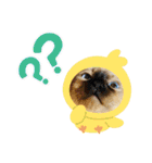 使いやすい 猫（個別スタンプ：14）