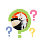 使いやすい 猫（個別スタンプ：15）