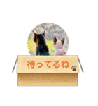 使いやすい 猫（個別スタンプ：23）