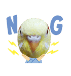 黄色の鳥さん（個別スタンプ：2）