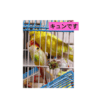 黄色の鳥さん（個別スタンプ：7）