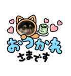 ポメチワはちみつちゃんスタンプ第6弾（個別スタンプ：8）
