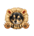 ポメチワはちみつちゃんスタンプ第6弾（個別スタンプ：15）