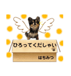 ポメチワはちみつちゃんスタンプ第6弾（個別スタンプ：23）