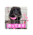 白目GIRL♥️sunny♥️（個別スタンプ：5）
