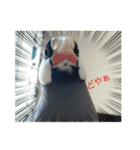和と真（個別スタンプ：2）