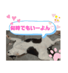 和と真（個別スタンプ：31）