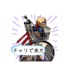 チワワのゆきちスタンプ（個別スタンプ：21）