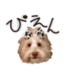 ドゥードルのメル（個別スタンプ：14）