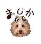 ドゥードルのメル（個別スタンプ：15）