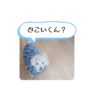 うちのバディ（個別スタンプ：6）