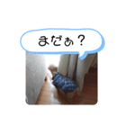 うちのバディ（個別スタンプ：7）