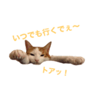 #名前はレモンパイ vol.1（個別スタンプ：3）