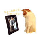 #名前はレモンパイ vol.1（個別スタンプ：6）