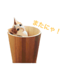 #名前はレモンパイ vol.1（個別スタンプ：14）