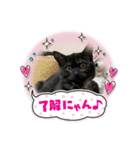 リューク＆ルナ（個別スタンプ：8）