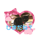 リューク＆ルナ（個別スタンプ：12）