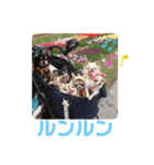 GOCHIHUA（個別スタンプ：1）