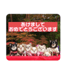 GOCHIHUA（個別スタンプ：16）