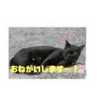 のんびりしましょ～（個別スタンプ：6）
