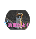 のんびりしましょ～（個別スタンプ：8）