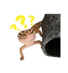 オレオちゃんです。（個別スタンプ：2）