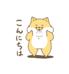 柴犬どうでしょう。（個別スタンプ：2）