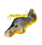 みにうさぎのぱーる（個別スタンプ：2）