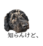 俺俺男 part2（個別スタンプ：8）