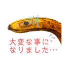 ゴエモン日常スタンプ2（個別スタンプ：6）