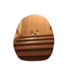ちろだよ2（個別スタンプ：5）