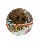 RaRa♡♡（個別スタンプ：2）