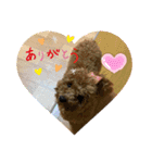 RaRa♡♡（個別スタンプ：3）