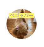 RaRa♡♡（個別スタンプ：14）
