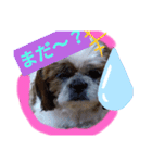 日常♡かわいい♡（個別スタンプ：3）