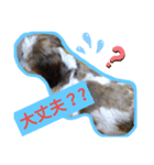 日常♡かわいい♡（個別スタンプ：4）
