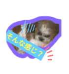 日常♡かわいい♡（個別スタンプ：6）