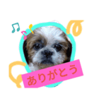 日常♡かわいい♡（個別スタンプ：15）