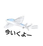 おえかき水族館（個別スタンプ：3）