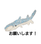 おえかき水族館（個別スタンプ：5）